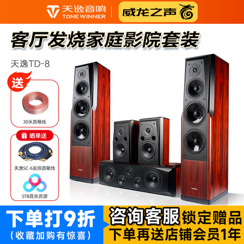 天逸童笛八号TD-8家庭影院音箱