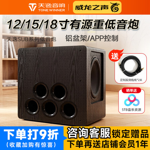 天逸12寸/15寸大功率有源低音炮