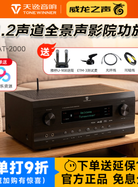 Winner/天逸 AT-2000家庭影院11.2声道功放发烧全景声影KTV放大器