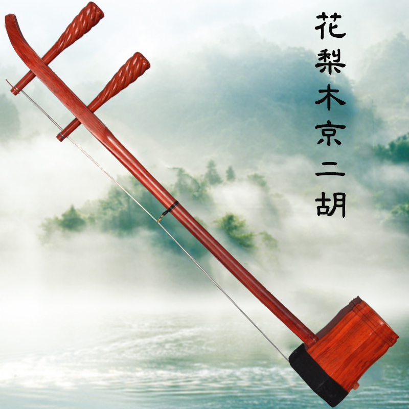 耀森红木花梨木西皮二黄京二胡专业民族拉弦乐器初学厂家直销包邮