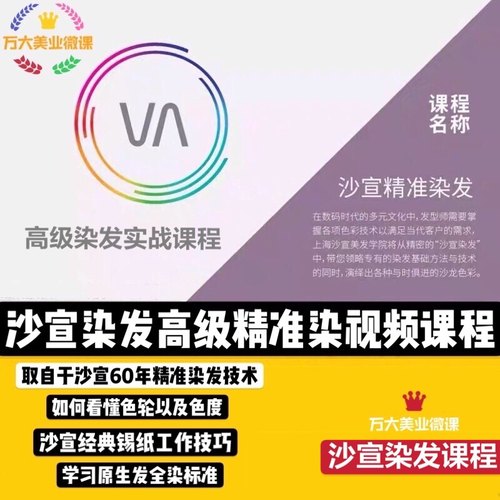 沙宣精准染发课程色彩锡纸染发美发教学