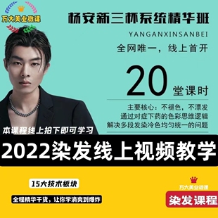 新三杯染发系统杨安颜色美发教程多段色统一涂抹配方精华版2022