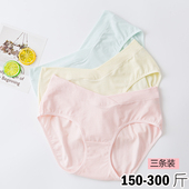 300斤可穿纯棉孕妇晚期高弹孕妇内裤 新品 200斤 大码 孕妇低腰内裤