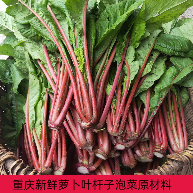 重庆农家蔬菜红皮萝卜泡菜杆新鲜红萝卜梗食用2斤3斤4斤泡菜原料