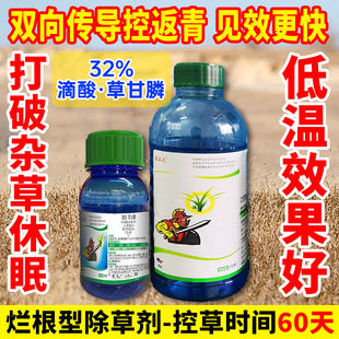 杂草芦苇香附子一扫光强力烂根除草剂 原上火32%滴酸草甘膦正品