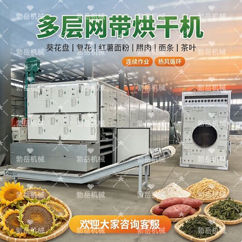 网带葵花盘旋复花红薯面粉烘干机