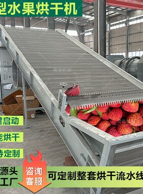 水果干生姜蘑菇蔬菜烘干设备