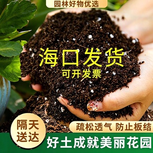 海南营养土瓜果蔬菜种植通用有机土壤槟榔育苗基质养花专用培养土