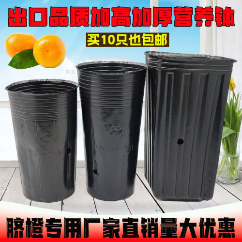 营养钵加高加厚育苗杯软黑色塑料