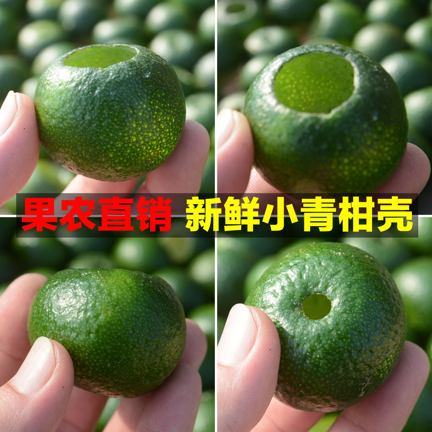 农家直销茶枝柑小青柑鲜果壳