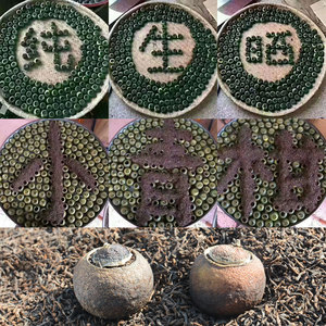 2021晒制新会正宗小青柑普茶