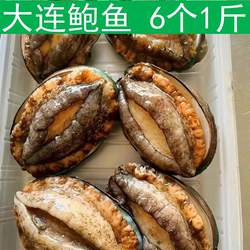 鲍鱼大连鲍鱼 6头一斤8头一斤鲍鱼冷冻鲍鱼新鲜速冻年货海鲜鲍鱼