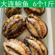 鲍鱼大连鲍鱼 6头一斤8头一斤鲍鱼冷冻鲍鱼新鲜速冻年货海鲜鲍鱼
