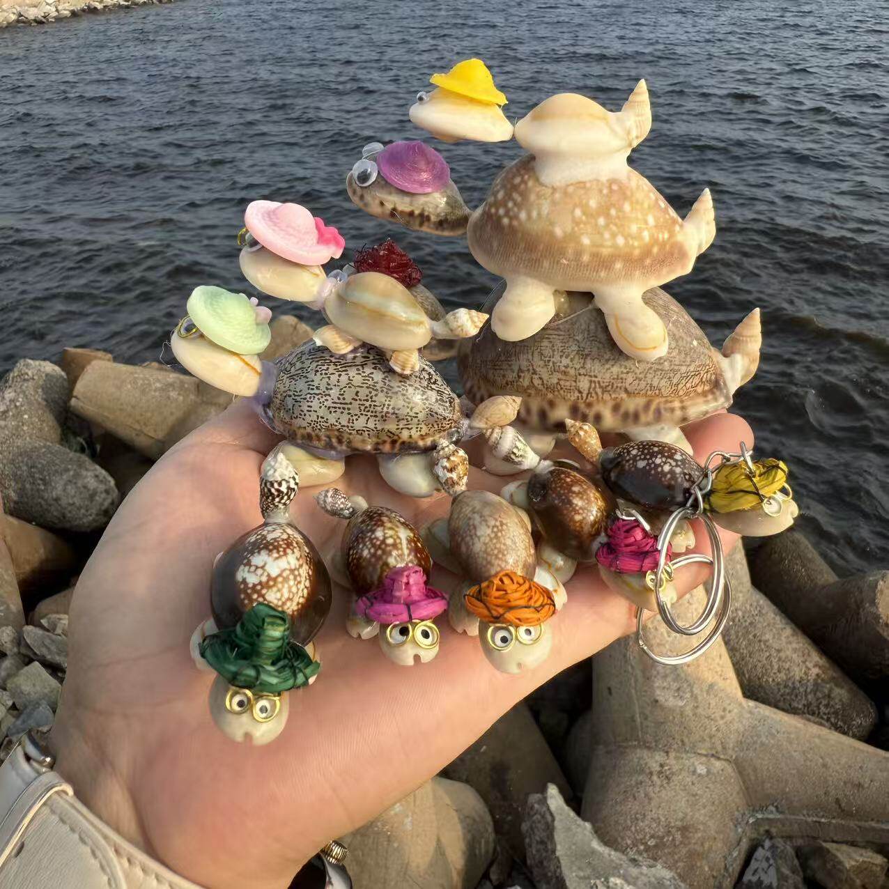 天然贝壳海螺小乌龟儿童玩具桌面摆件创意可爱工艺品地摊海边礼品