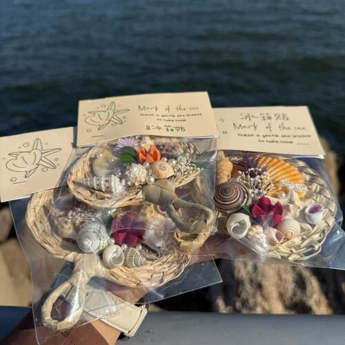 天然贝壳海螺冰箱贴磁贴