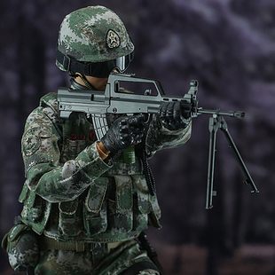 戍边英雄特别版  1/6 解放军军人模型手办 关节可动人偶边防战士