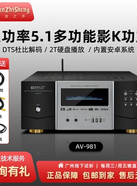 美丽安之声AV981家用家庭影院专业5.1大功率数字卡拉OK音响功放机