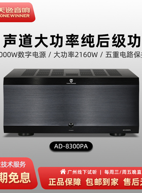 Winner/天逸AD-8300PA家用高端大功率11声道AV家庭影院纯后级功放