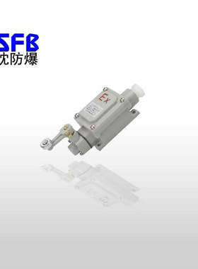 带证书BLX5-D单摇臂式行程开关BZX51-D行程开关中沈防爆限位开关