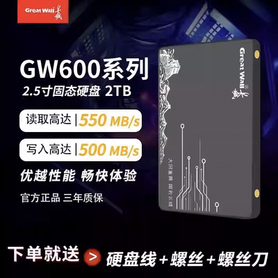 长城GW600 SSD2.5寸SATA3.0接口1/2TB台式机笔记本高速固态硬盘