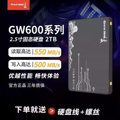 长城GW600 SSD2.5寸SATA3.0接口1/2TB台式机笔记本高速固态硬盘