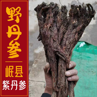真野生丹参250克500克甘肃岷县紫丹参整根切段泡茶泡酒喝