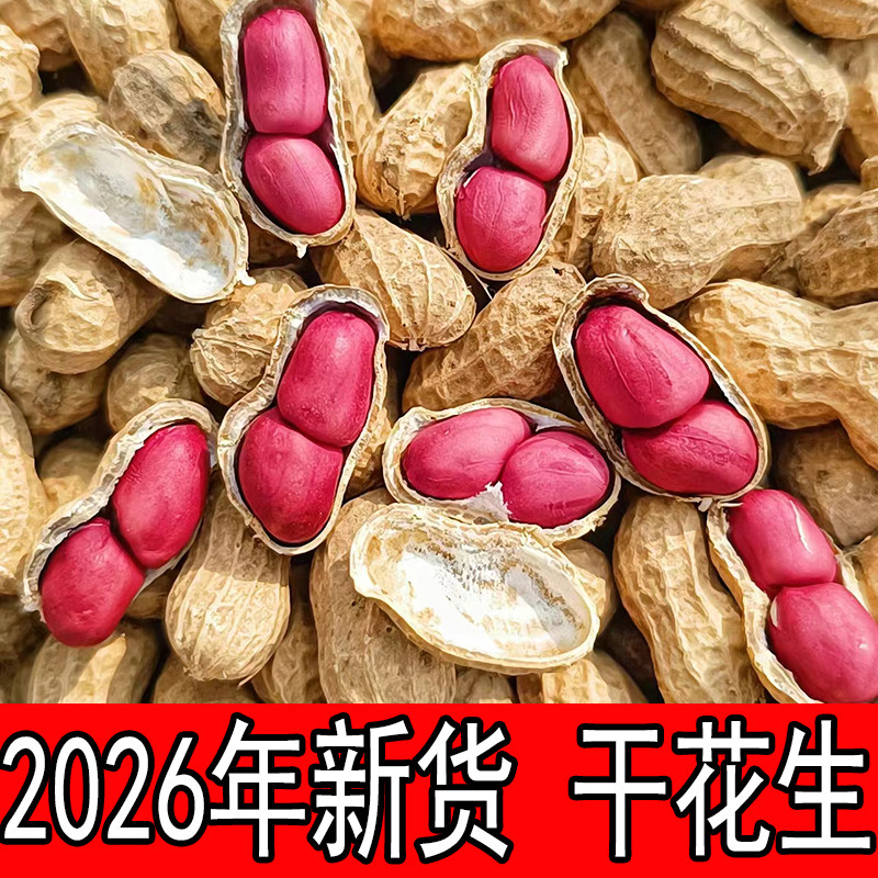 2026年红皮干花生带壳晒干生花生