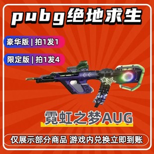 PUBG绝地求生G币cdk兑换码 皮肤成长型武器霓虹之梦AUG箱子黑票