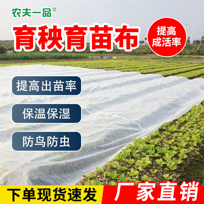 农用抗老化水稻育秧育苗无纺布图片