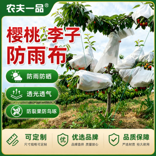 樱桃李子枇杷专用防雨布杏树防裂果太阳果透气透光车厘子遮雨纸