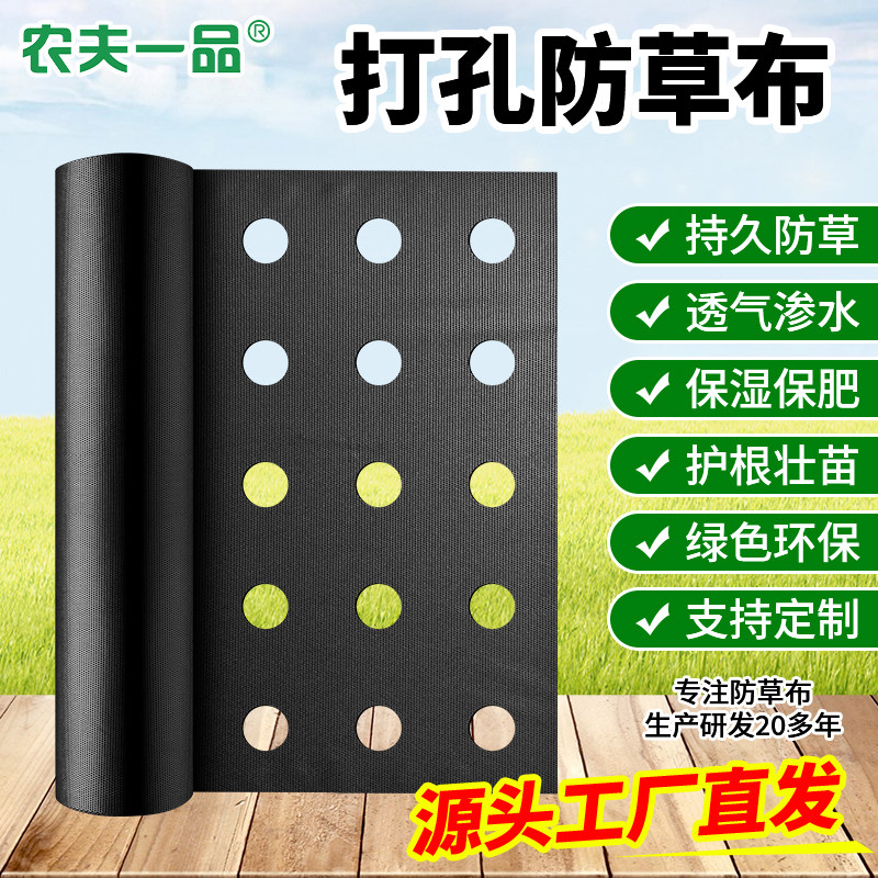 种植药材蔬菜开孔防草布苗木花卉黑色带孔地膜除草布耐用可定制