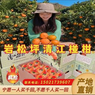 湖北长阳正宗岩松坪清江椪柑芦柑橘子新鲜孕妇水果特级果14斤装