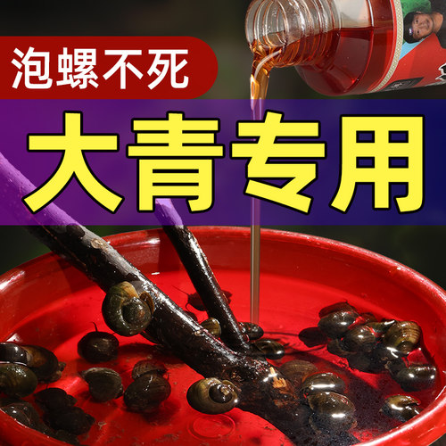 泡螺不死活力足螺香暴增促开口