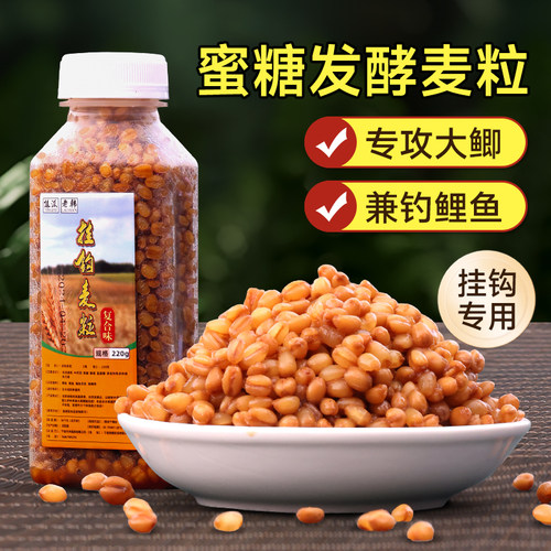 蜜糖发酵麦粒独特味型大鲫大鲤