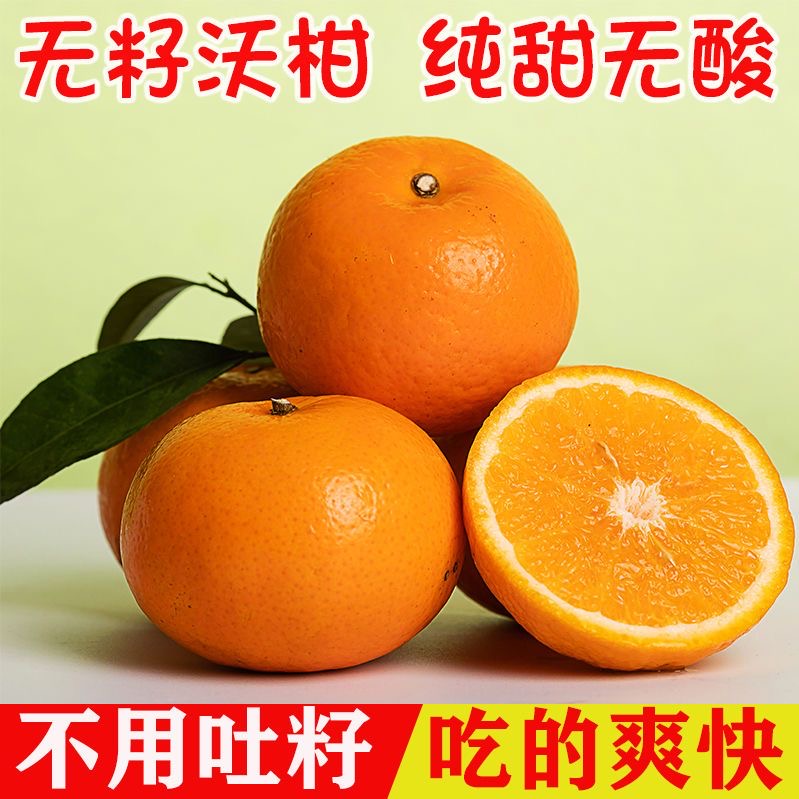 自家果园武鸣沃柑桔子