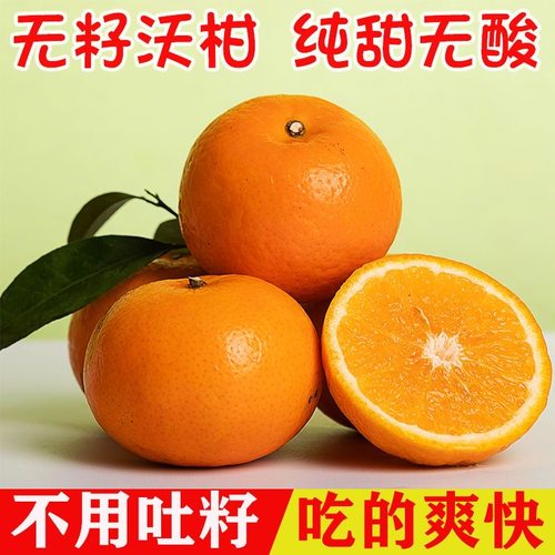 自家果园武鸣沃柑桔子