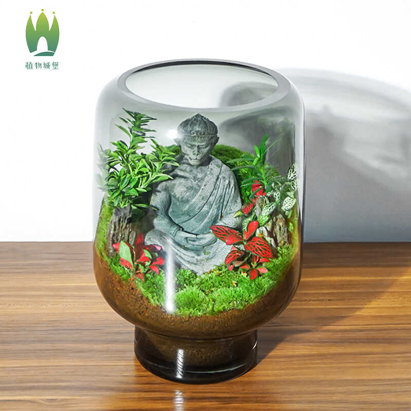 苔藓微景观植物城堡鲜活植物