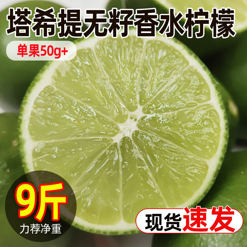 塔希提无籽香水柠檬奶茶店专用
