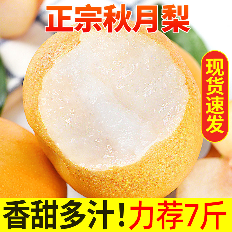 正宗秋月梨俏鲜莎新鲜多汁