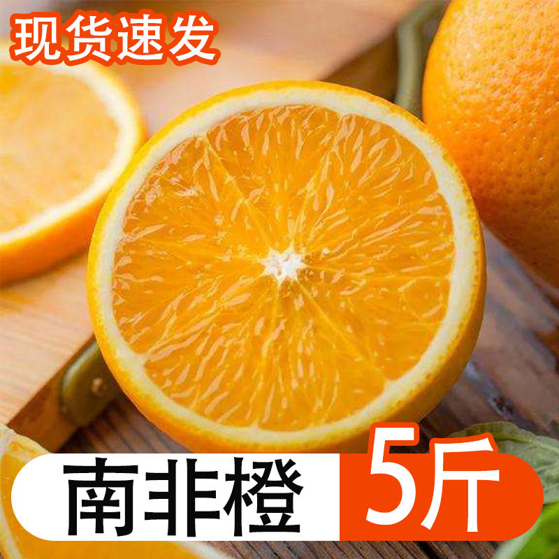 南非橙当季新鲜酸甜多汁