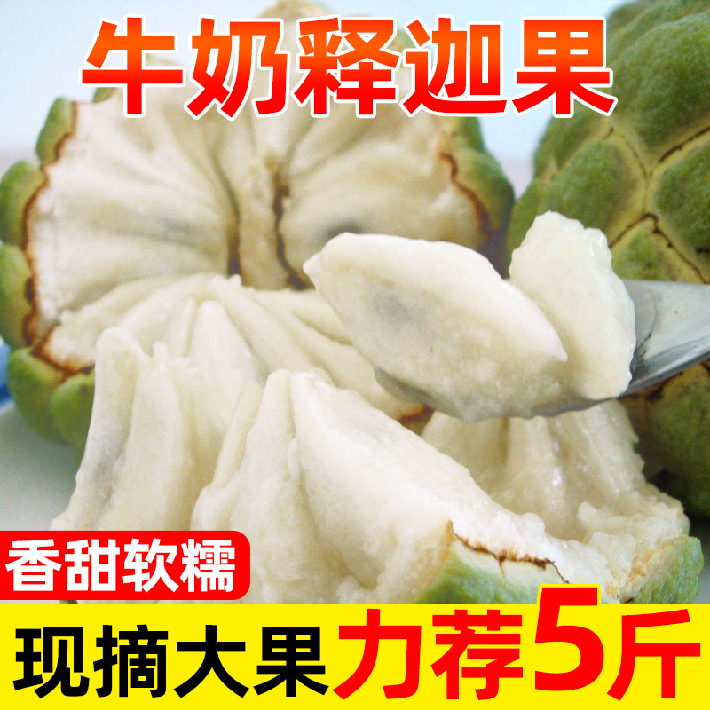 正宗牛奶凤梨释迦果顺丰番荔枝佛头果原产地应当季新鲜水果鲜果发