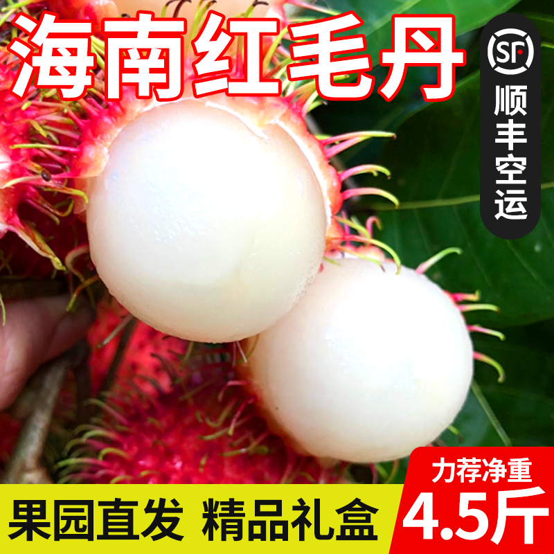 顺丰空运海南红毛丹新鲜红