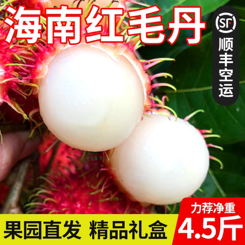 顺丰空运海南红毛丹新鲜红
