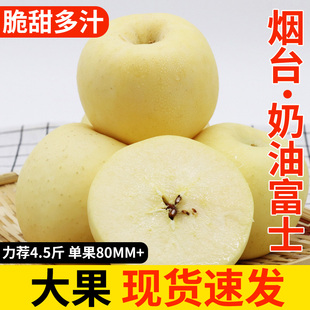 山东奶油富士苹果原产地脆甜多汁应当季新鲜时令水果整箱打包速发