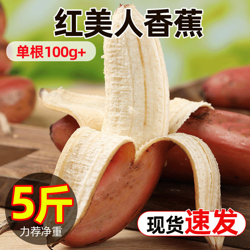 红美人香蕉当季新鲜水果自然熟现摘现砍大香蕉不打药需自然催熟发