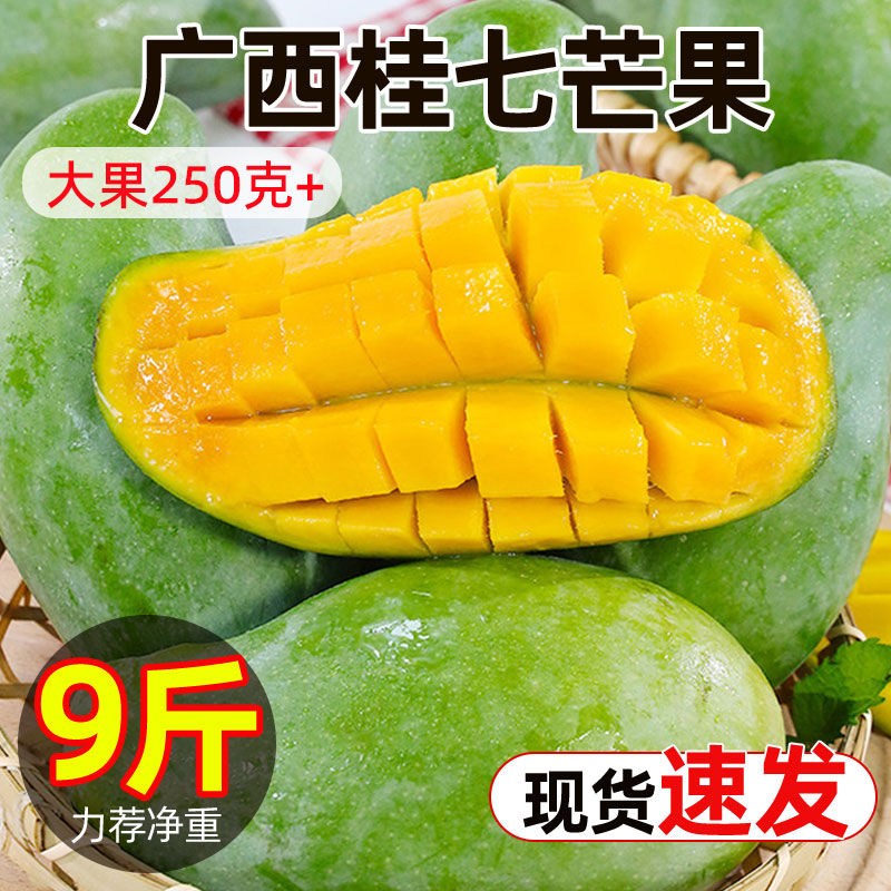 广西桂七芒果新鲜水果多汁美味