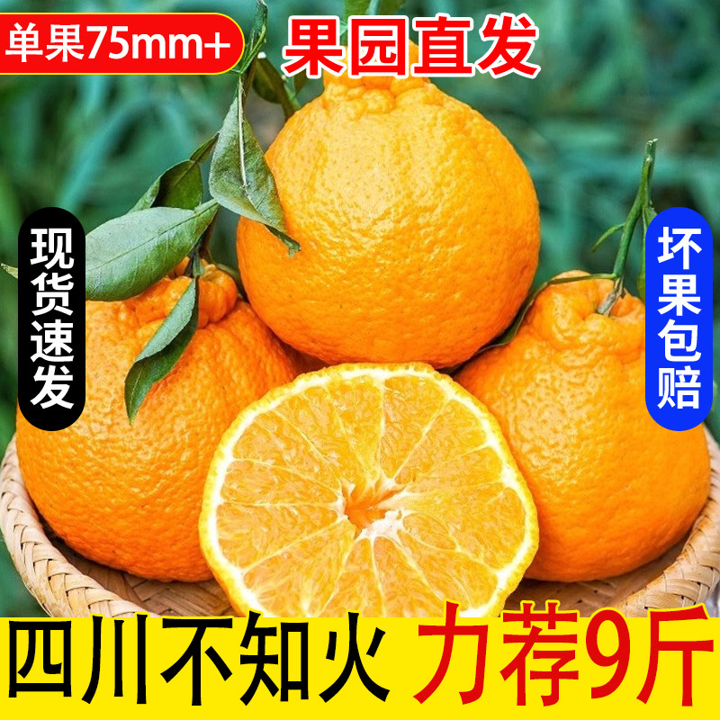 四川不知火丑橘原产地应当季新鲜水果应当季斤采摘整箱现货速发5