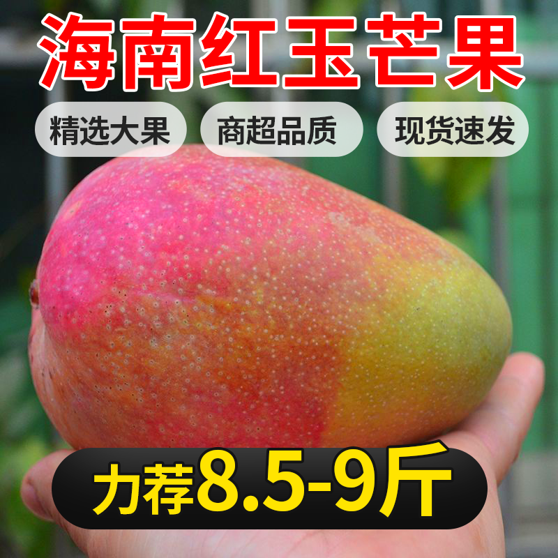 海南特产红玉芒果三亚红色芒果当季新鲜水果应季热带水果现摘现发
