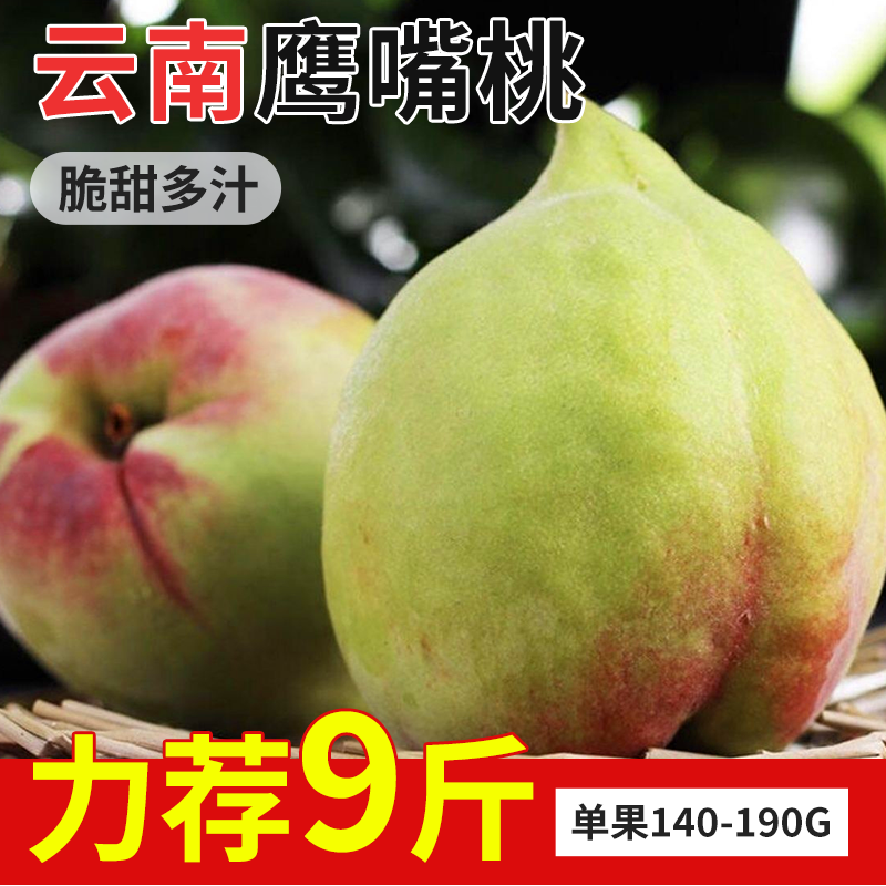 云南蒙自鹰嘴桃大果农家现摘鹰嘴