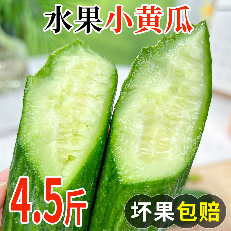 山东水果小黄瓜新鲜水果青瓜脆甜